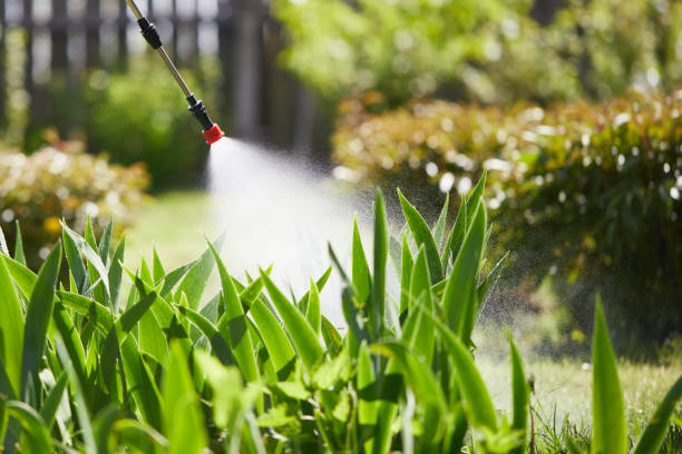 24/7 Emergency Rodent Control experts in St. John, KS