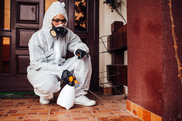 Reliable Rodent Control contractor in St. John, KS by Nex Pest Control